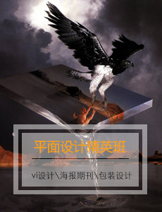 平面设计